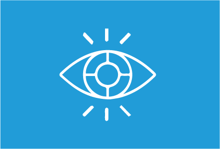 Vision